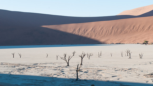 Deadvlei semi elevated
