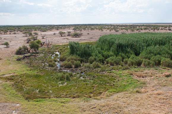 etosha namatoni waterhole