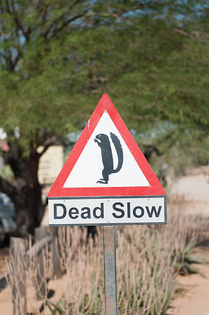dead slow
