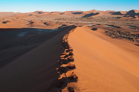 Deadvlei dunes spine