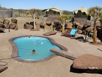 Quiver Tree pool j