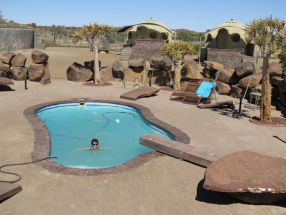 Quiver Tree pool j