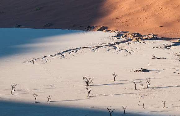 Deadvlei shadows