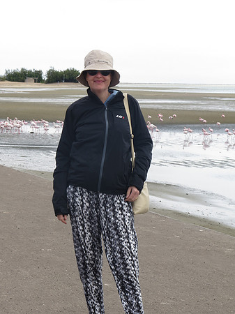 j walvis bay flamingos