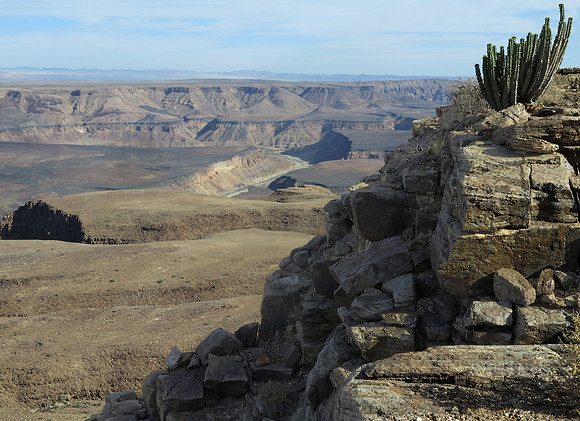 fish river vista and alloe