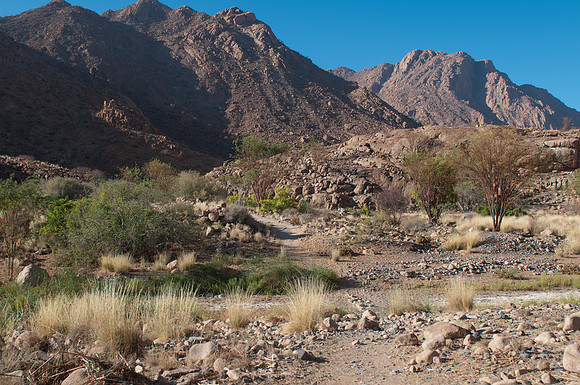 brandberg white lady trail