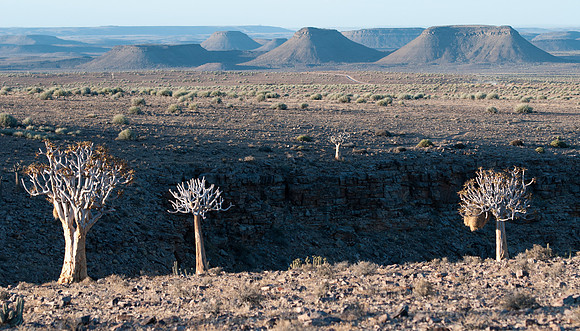 fish river quiver trees and canyon