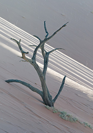 Deadvlei diagonal sunlight