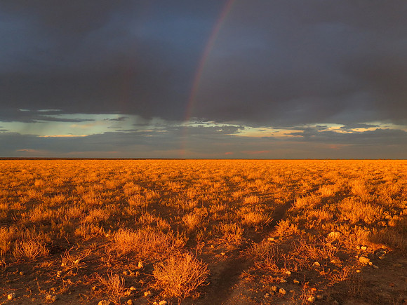 etosha grassland rainbow
