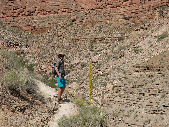 GC Nankoweap Canyon hike R