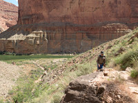 GC Nankoweap Canyon hike G