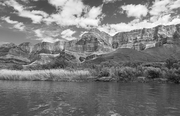 GC peaks mono
