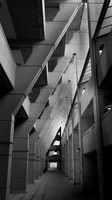 Brunswick 5