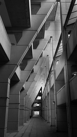 Brunswick 5