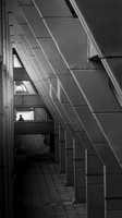 Brunswick 8