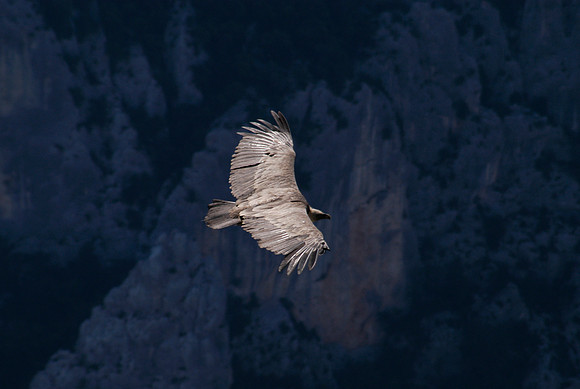 verdon gorge route de cretes eagle4