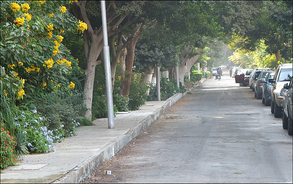Cairo Maadi street