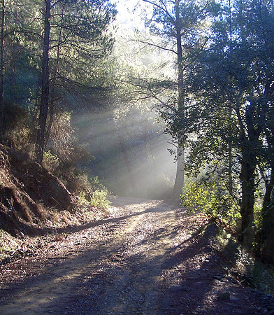 troodos sunrays
