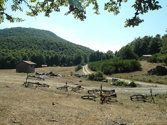 picos_abandoned bikes