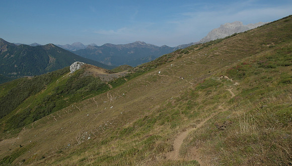 picos_singletrack