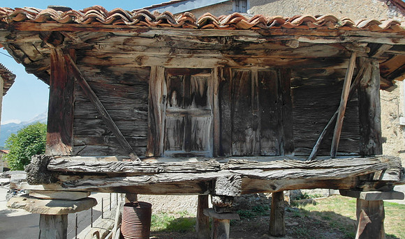 picos_grain store