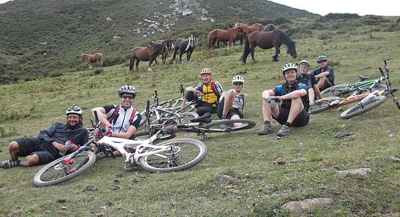 picos_horses