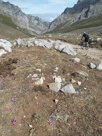 picos_valle de duje descent autumn crocus