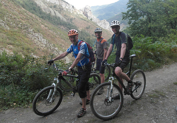 picos_MK Lardo Tony