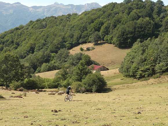 picos_rich day 1