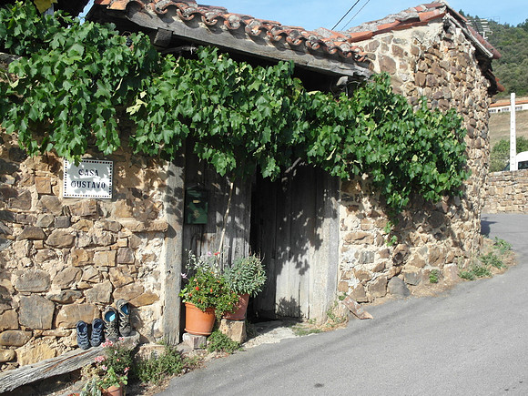 picos_mikes casa