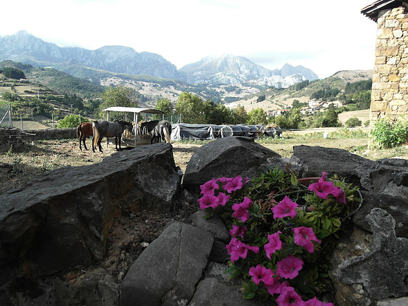 picos_mikes view
