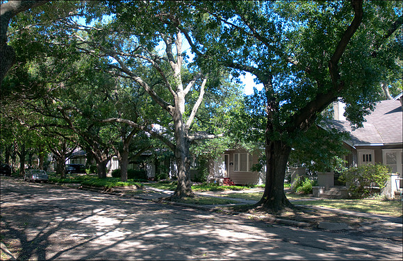 Sul Ross Street, Montrose, Houston
