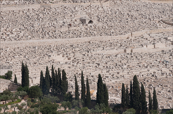 Jerusalem Mt of Olives