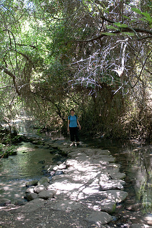 Tel Dan stream