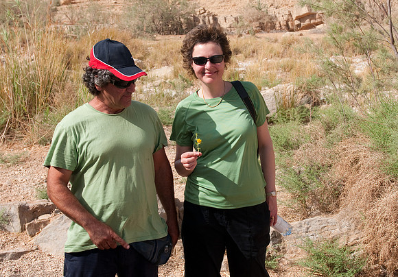 Machtesh Ramon Jenni flower