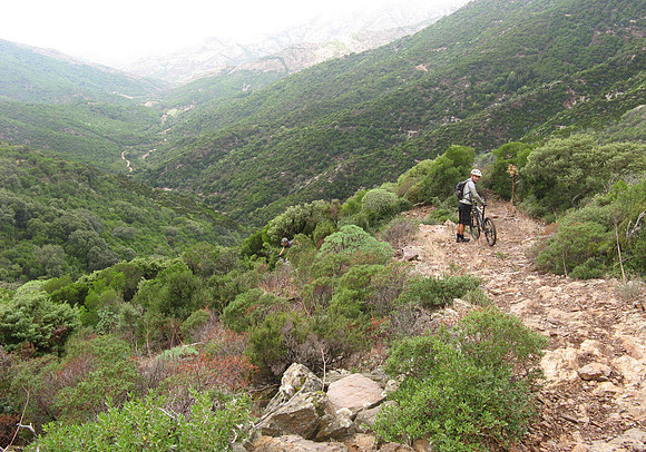 Buzz rocky descent