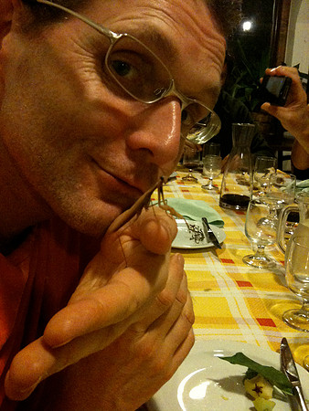 MK insect 1