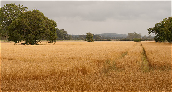 Glamis Castle vista