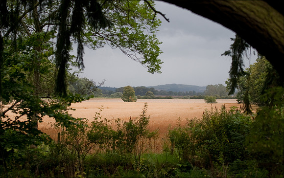 Glamis Castle vista