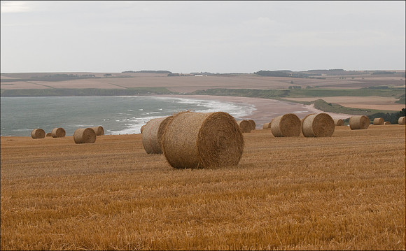Lunan Beach and Ethie Haven