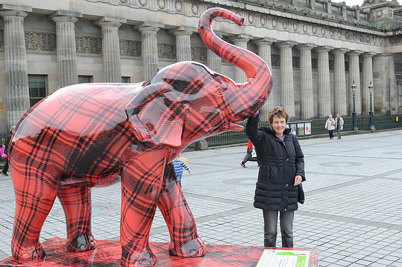 Edinburgh tartan elephant jenni