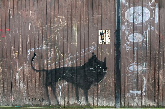 Black cat graffiti