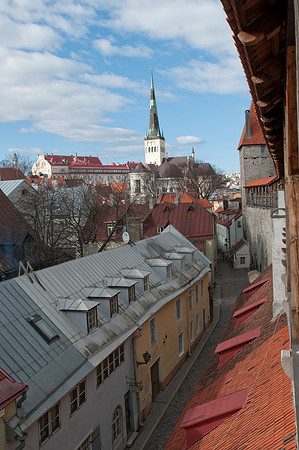 Tallinn city wall and roofs