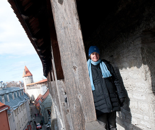 Jenni city walls