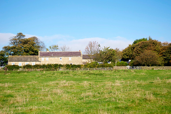 cottages rear