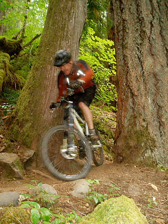 Woody in the woods