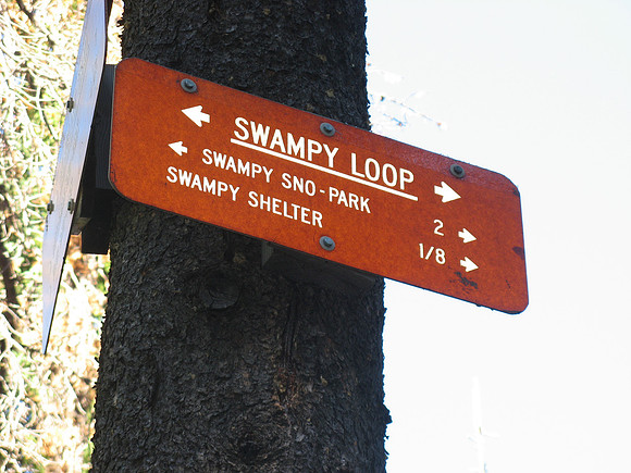 Swampy Loop