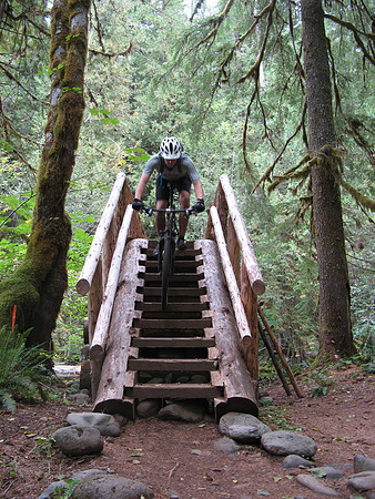 McKenzie River Trail Rich steps
