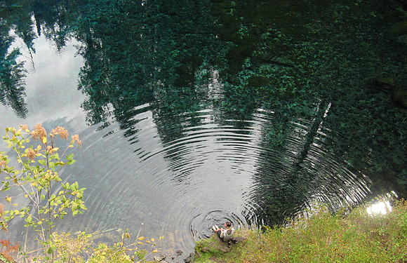 McKenzie River Tamolich Falls ripples