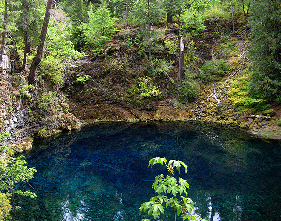 McKenzie River Tamolich pool